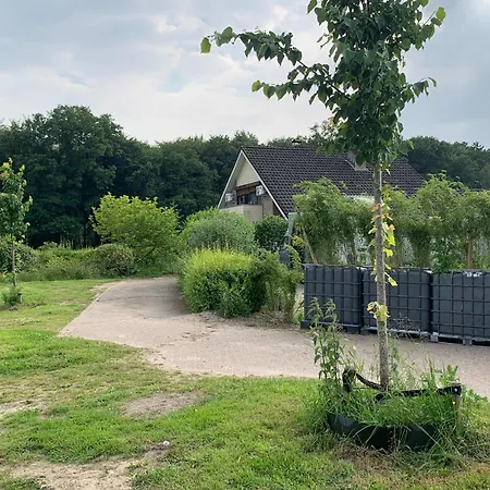 Montferland Near Bergh Castle *